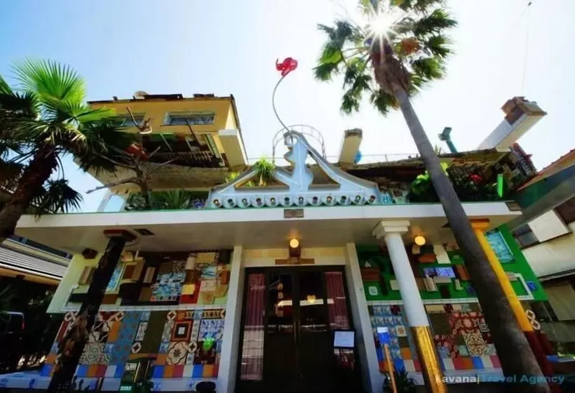 Majatalo Next International Homestay