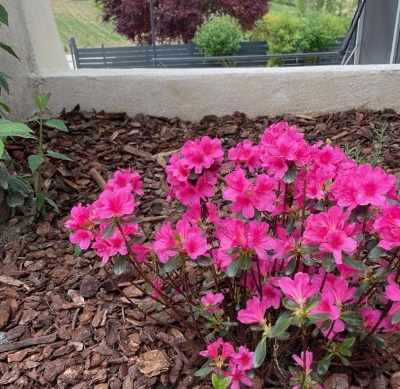 민박 Domaine De Prefaissal