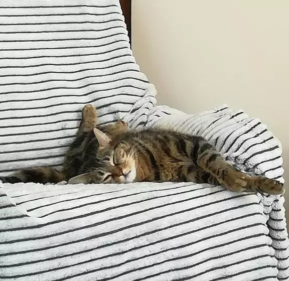 ベッドアンドブレックファースト Le Clos Louisiane