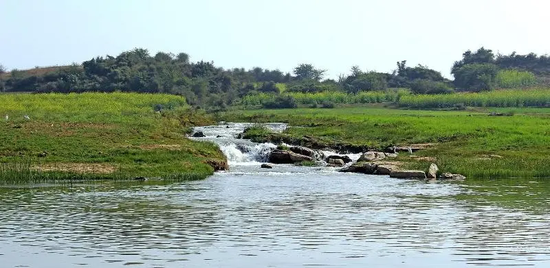 ホテル Bhadrawati   A Riverside Safari Lodge Ranthambore