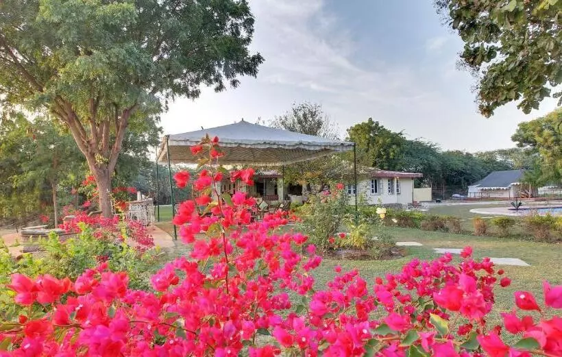 ホテル Bhadrawati   A Riverside Safari Lodge Ranthambore