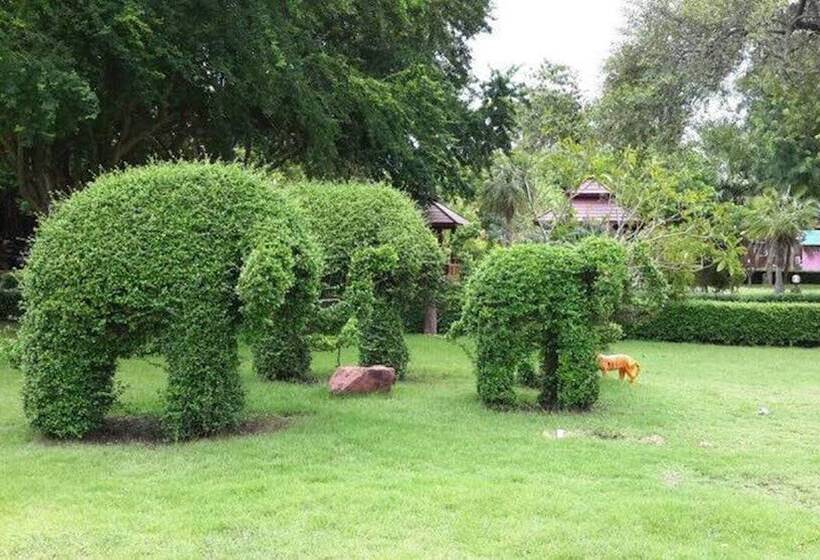 בית מלון כפרי Sasi Resort