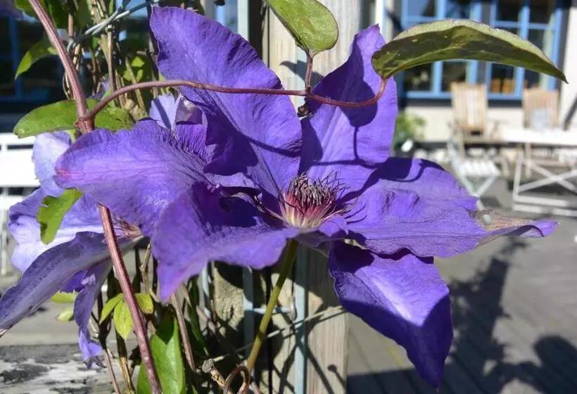 ホテル Villa Hasselbacken