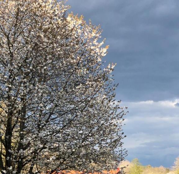 فندق Villa Hasselbacken