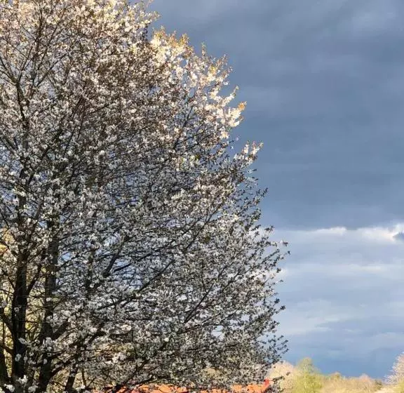 ホテル Villa Hasselbacken