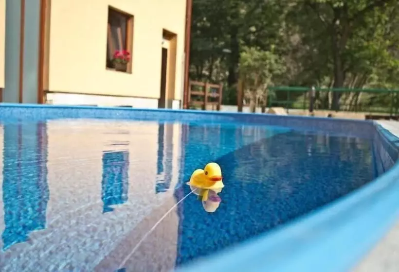 ペンション šafránkův Mlýn