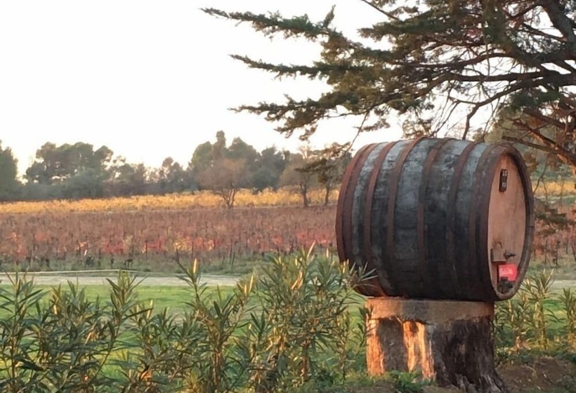 膳宿费 Château Pechcéleyran