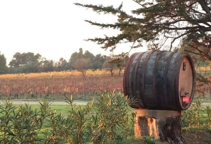 ペンション Château Pechcéleyran