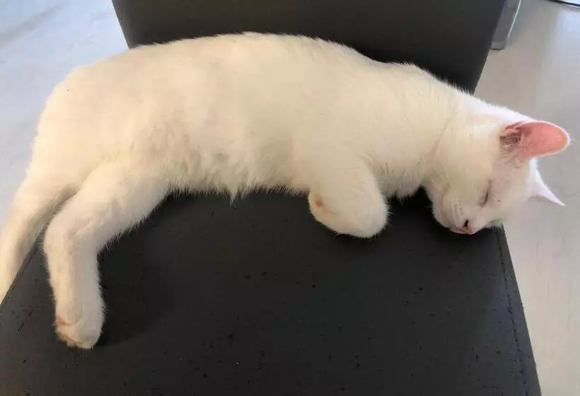 Majatalo Le Domaine Des Pres