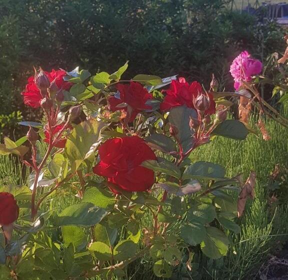 ペンション Le Domaine Des Pres