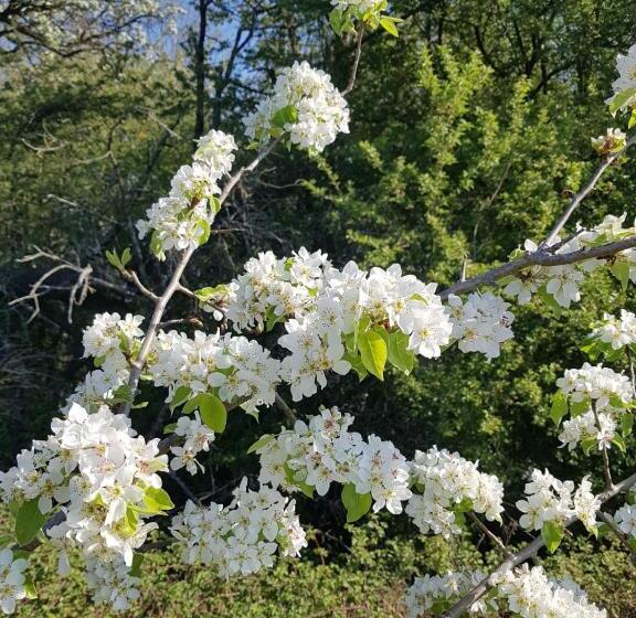 ペンション Le Domaine Des Pres