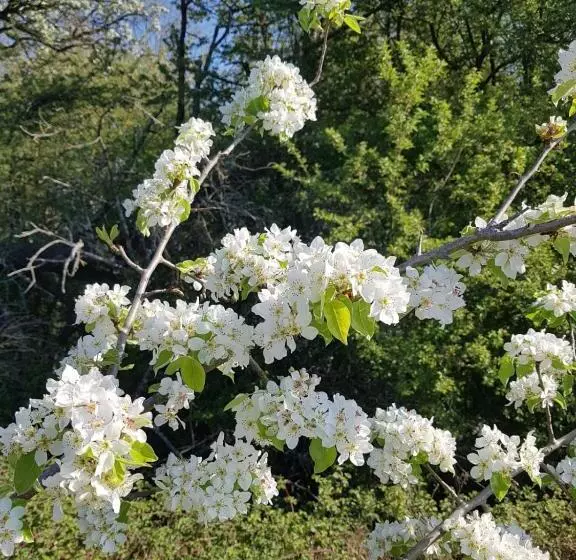 Majatalo Le Domaine Des Pres