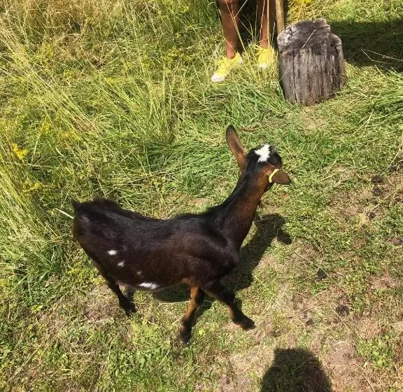 Majatalo Le Domaine Des Pres