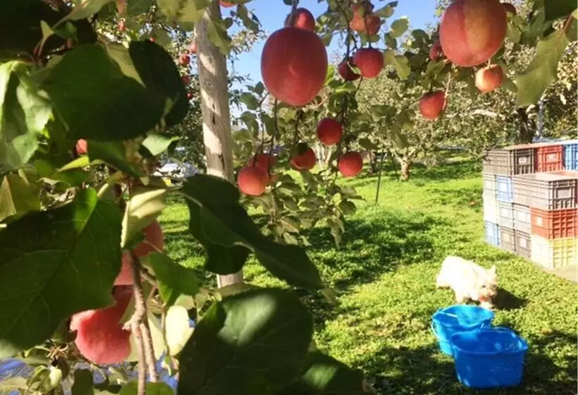 Petit Hotel Paddington House