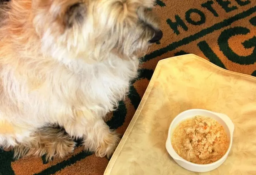 Petit Hotel Paddington House