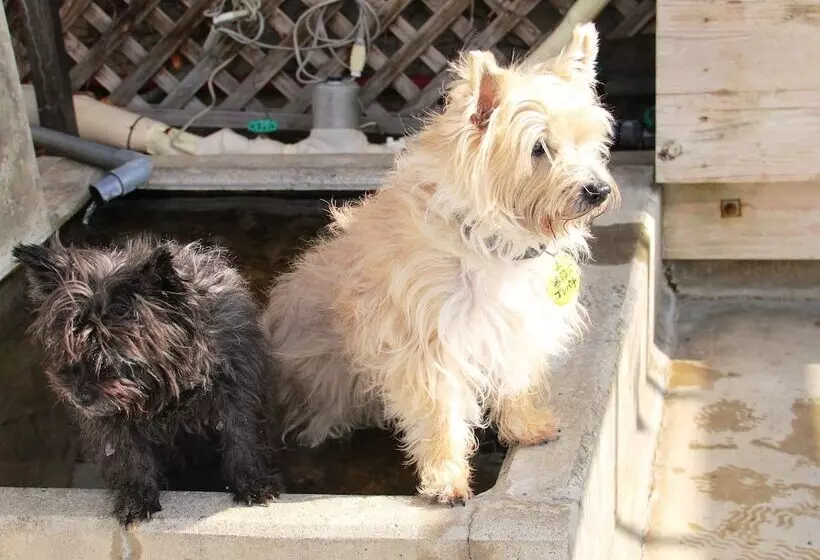 Petit Hotel Paddington House