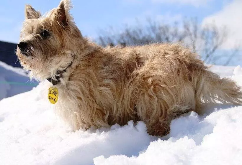 Petit Hotel Paddington House