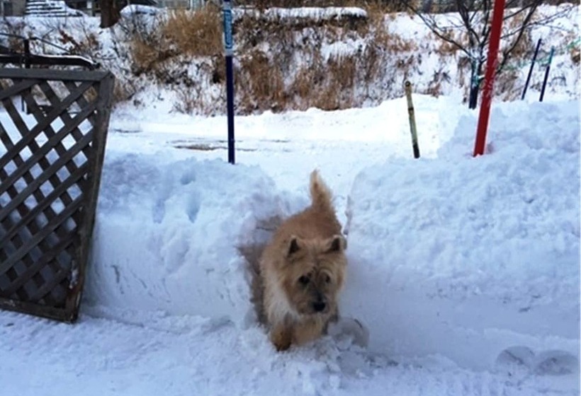 Petit Hotel Paddington House