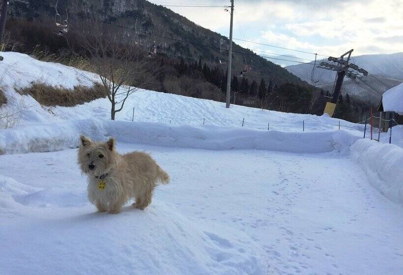 Petit Hotel Paddington House