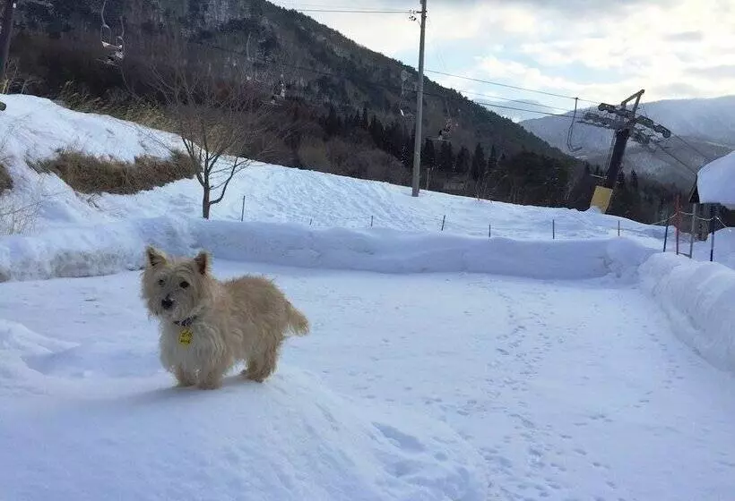 Petit Hotel Paddington House