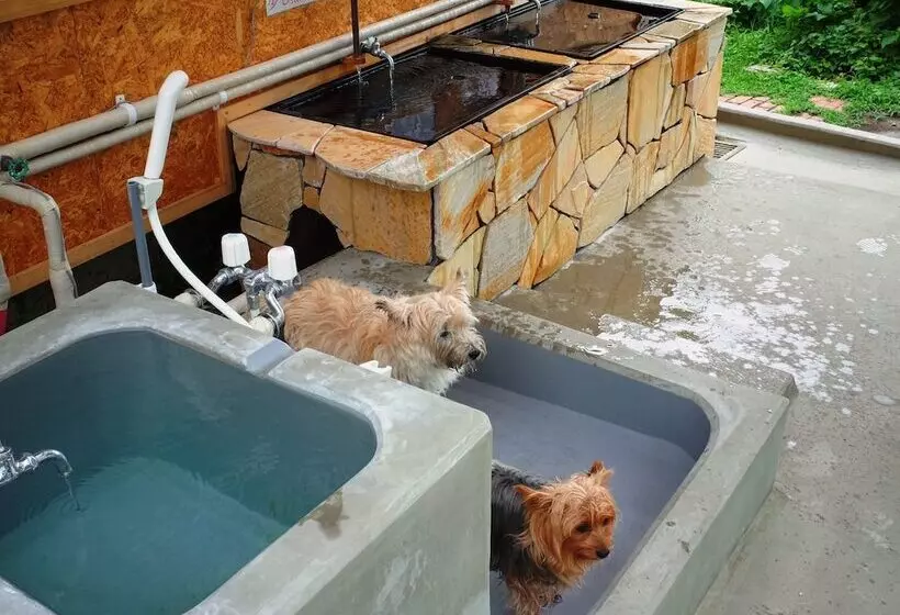 Petit Hotel Paddington House