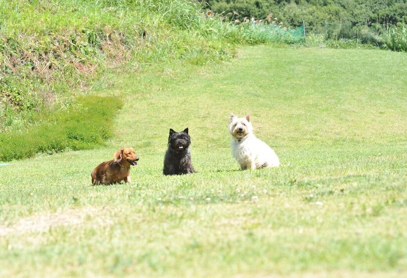 Petit Hotel Paddington House