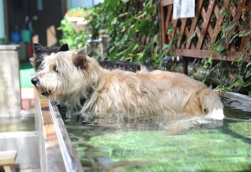 Petit Hotel Paddington House