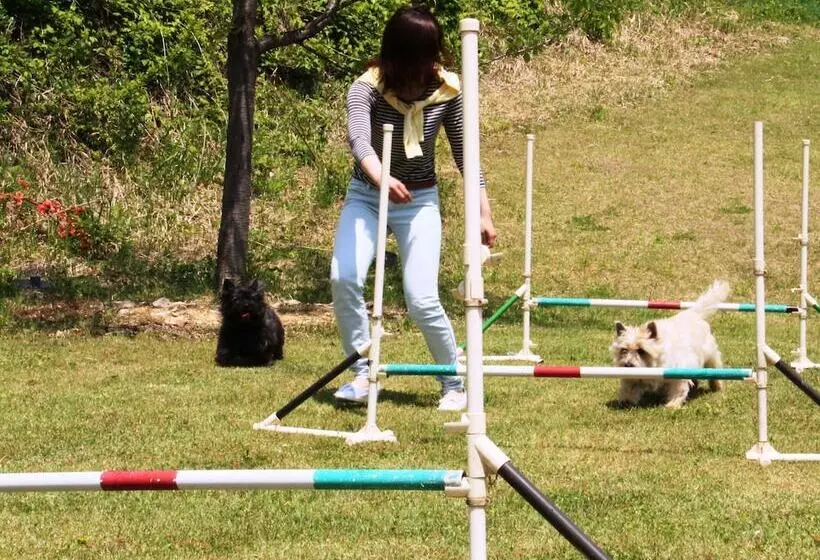 Petit Hotel Paddington House