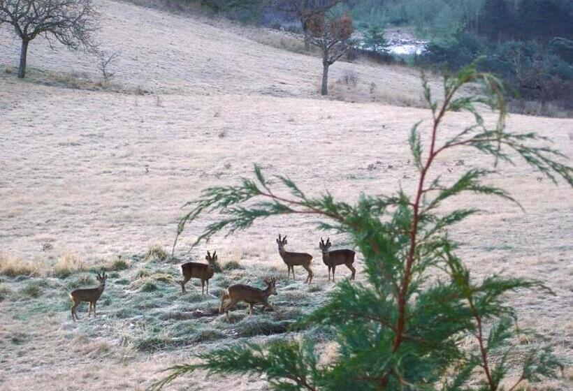Bed and Breakfast La Ferme De La Condamine
