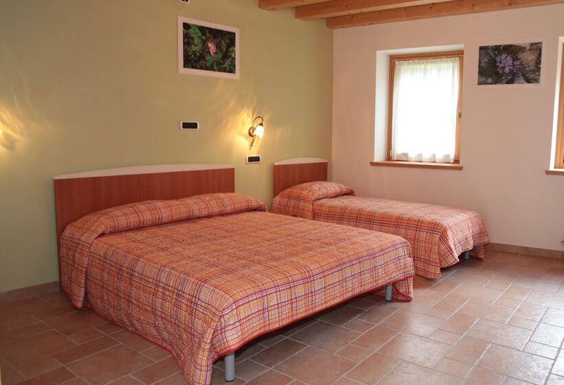 簡易ホテル Albergo Diffuso Valcellina E Val Vajont In Claut