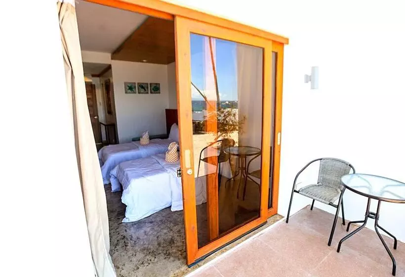 ホテル Allura Resort Dive And Spa