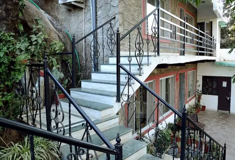 Hotelli Babbar S Den An Elegant Homestay