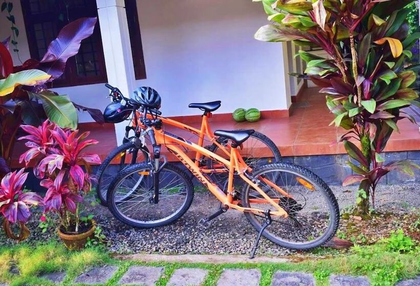 בית מלון כפרי Dew Drops Farm Resorts