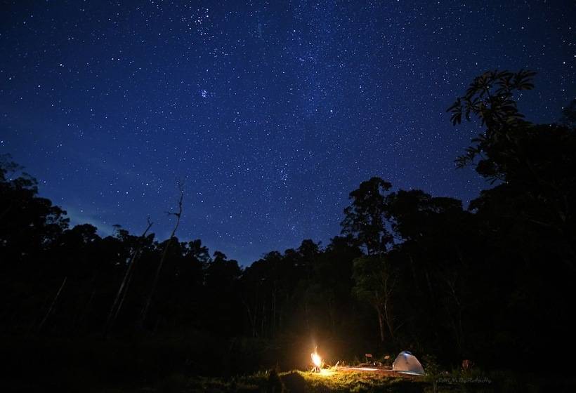 בית מלון כפרי Dew Drops Farm Resorts