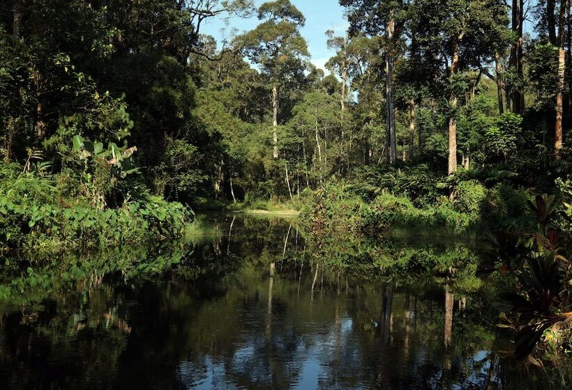 בית מלון כפרי Dew Drops Farm Resorts