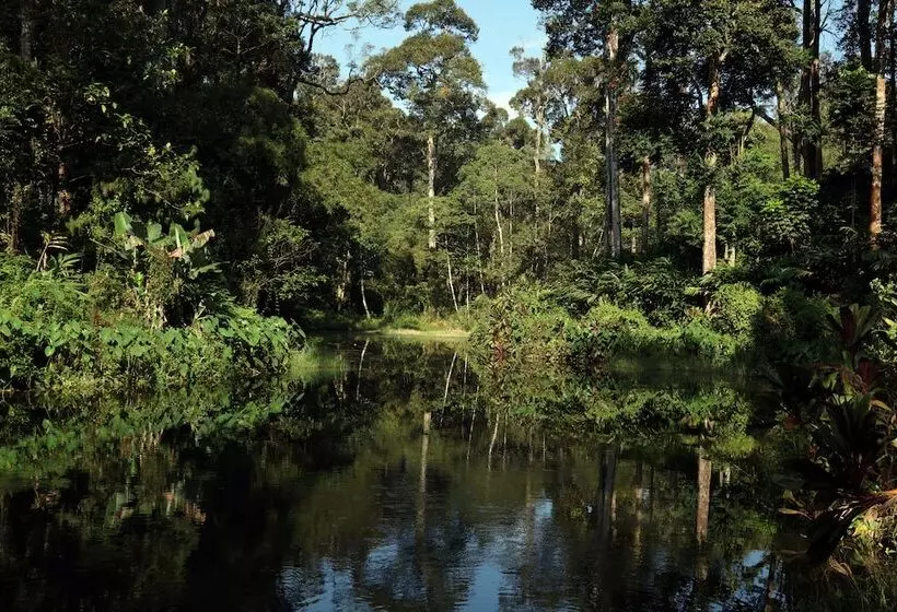 Hotelli Dew Drops Farm Resorts