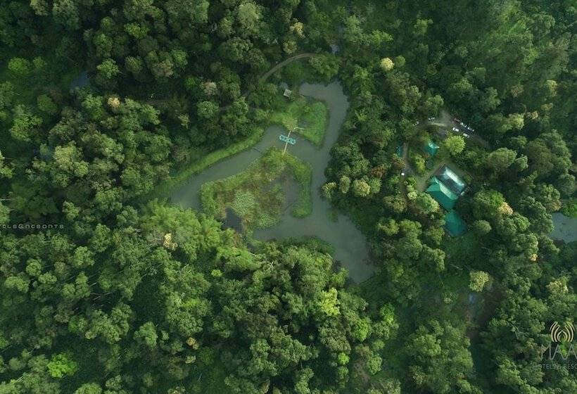 בית מלון כפרי Dew Drops Farm Resorts