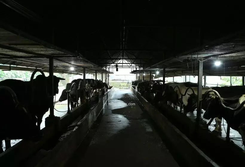 Hotelli Dew Drops Farm Resorts