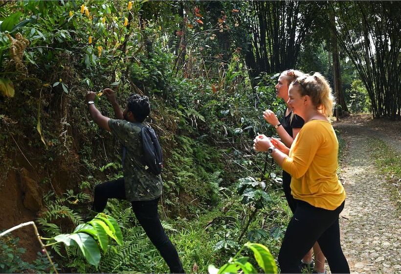 בית מלון כפרי Dew Drops Farm Resorts