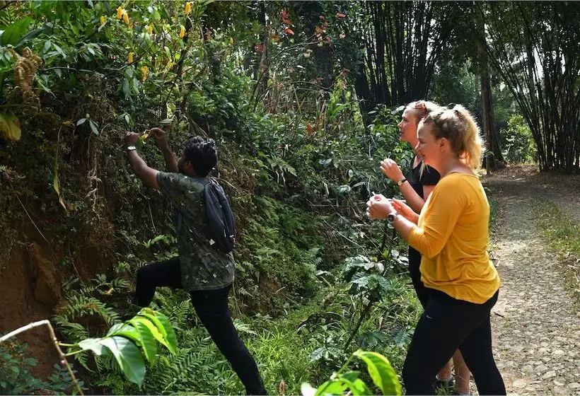 Hotelli Dew Drops Farm Resorts