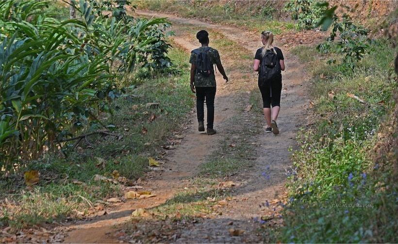 בית מלון כפרי Dew Drops Farm Resorts