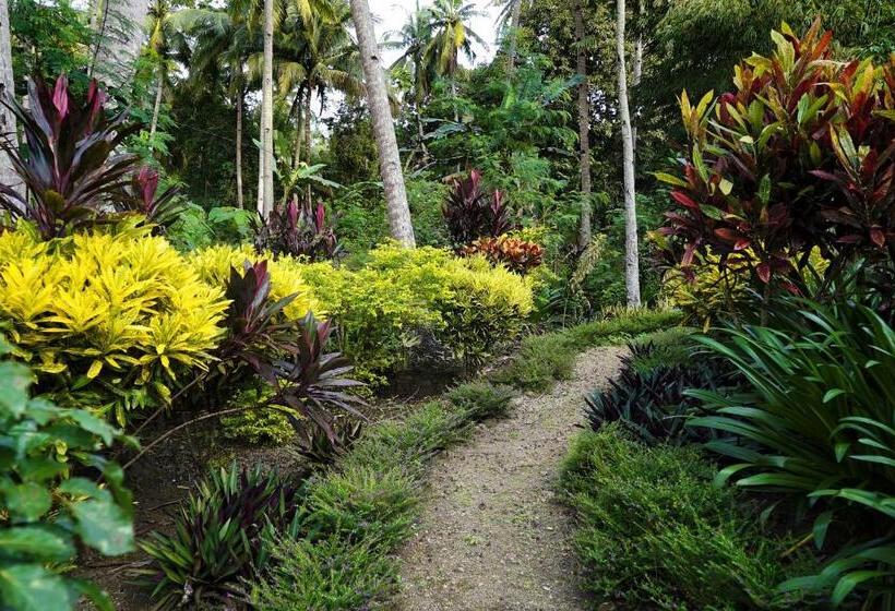 Hotel Guindulman Bay Tourist Inn