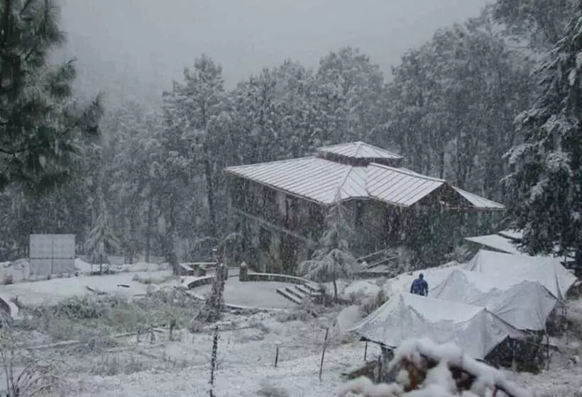 ホテル Kosi Valley Retreat