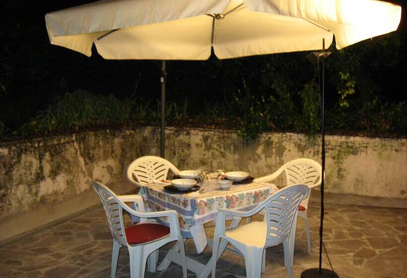 ペンション Villa Ca  Dell Olmo