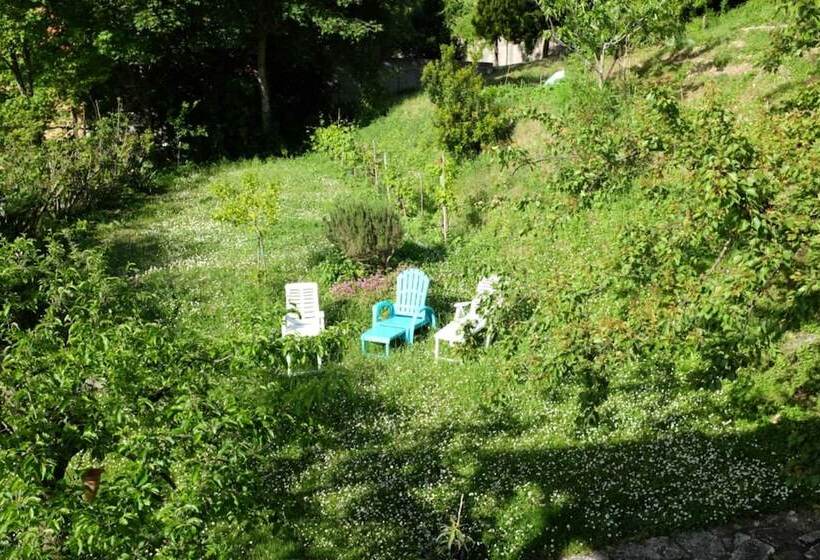 ペンション Villa Ca  Dell Olmo