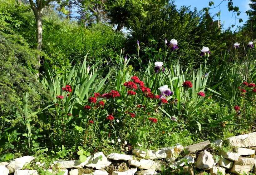 ペンション Villa Ca  Dell Olmo