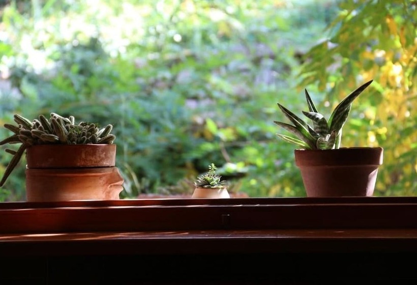 ペンション Villa Ca  Dell Olmo