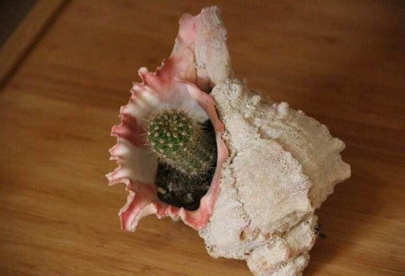 ペンション Villa Ca  Dell Olmo