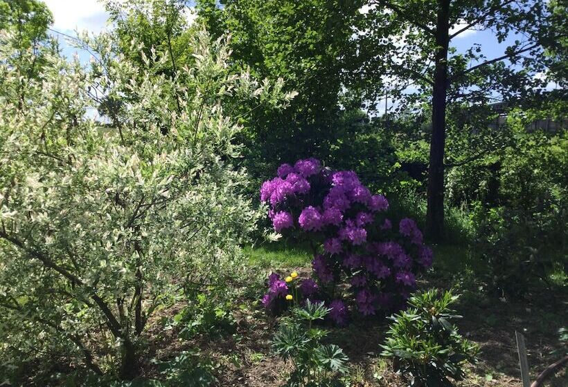 بنسيون Les Epis Du Vent