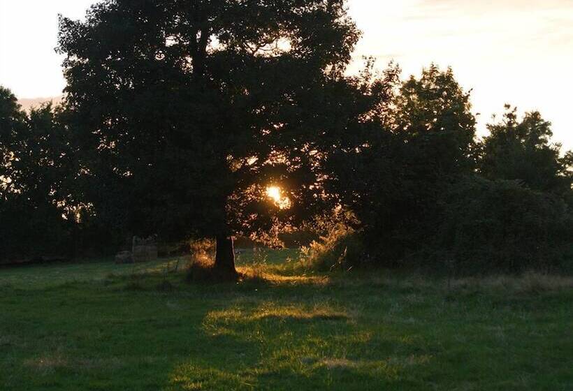 بنسيون Les Epis Du Vent